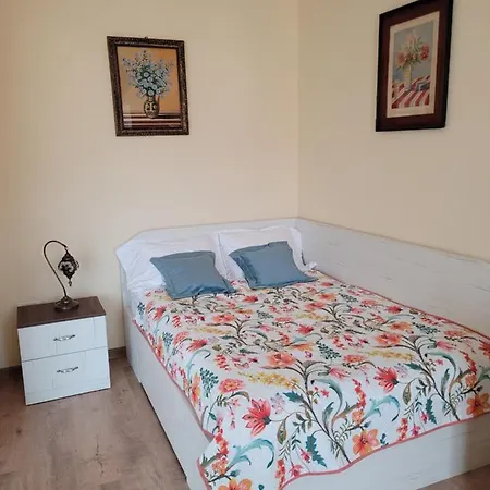 Ema's Vintage Spacious 2 Bedroom With Mountain View Brasov