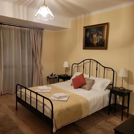Ema's Vintage Spacious 2 Bedroom With Mountain View Apartment Brasov